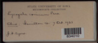 Image Associated With the Occurence